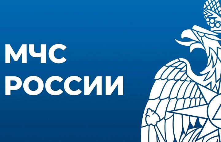 В настоящее время в МЧС России организована и ведется работа по предоставлению государственных услуг в электронном виде через Единый портал государственных и муниципальных услуг. 