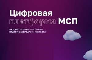 На Цифровой платформе МСП.РФ появилась возможность заказать программное обеспечение с 50-процентной скидкой