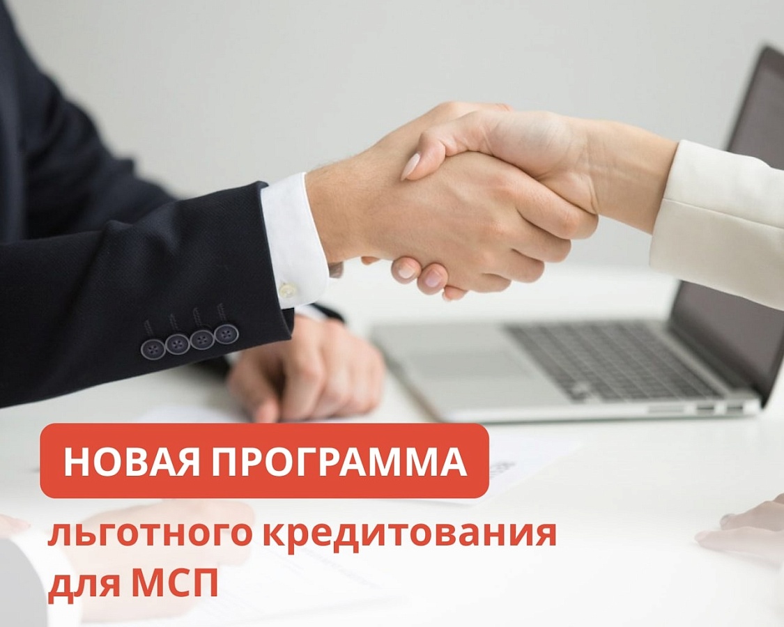 Запущена новая программа льготного кредитования для МСП.