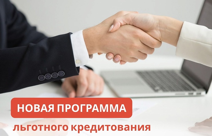 Запущена новая программа льготного кредитования для МСП.