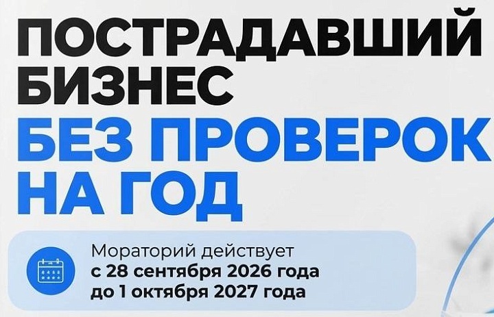 Для пострадавшего от атак бизнеса отменили проверки на год!